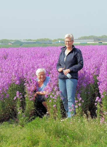 Ine en Wilma tussen de paarse bloemen