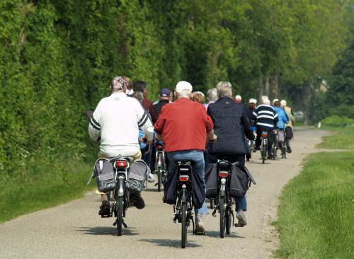 De achterkant van het Vigeta-peloton