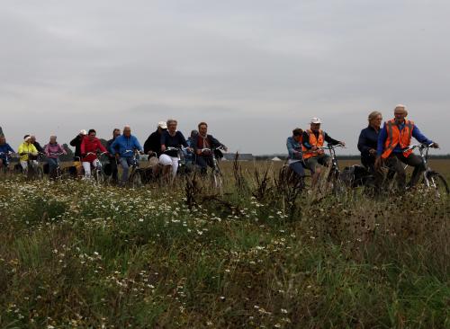 Een sfeervolle foto omdat onze hoffotograaf het leuk vond om tussen de veldbloemen te gaan liggen voor de foto