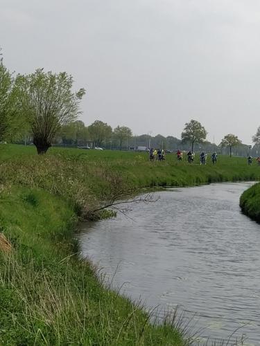 Het Vigeta-peloton rijd langs de Molenbeek 