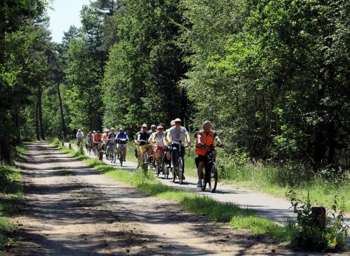 Met het Vigeta-peloton fietsen door een mooie bosrijke omgeving