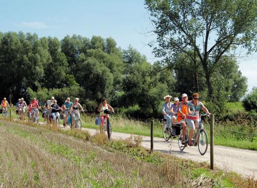 Fietsen in een mooie omgeving en onder een lekker zonnetje