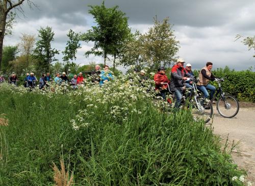 Mooie natuur tijdens de tandemtocht in Fijnaart