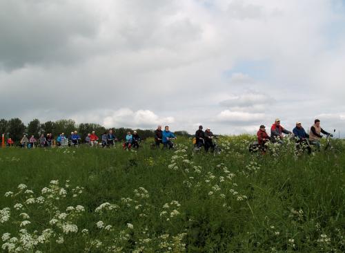 Het Vigeta-peloton tijdens de tocht vanuit Fijnaart