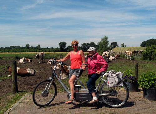 Marleen wilde graag, samen met haar moeder, op de foto voor de weide met koeien. 