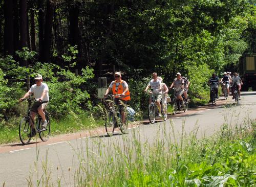 Het Vigeta-peloton onderweg onder een stralende zon. 