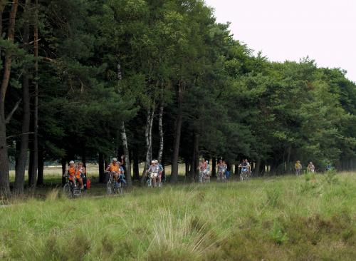 Piet moest er wel even voor het gras in maar dan krijg je wel een heel mooi plaatje van het Vigetapeloton in de natuur 