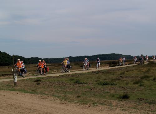 Wat is het mooi op de Veluwe. Echt genieten