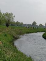 Het Vigeta-peloton rijd langs de Molenbeek 