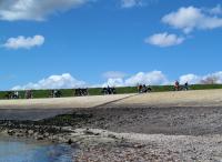 Mooi fietsen over de dijk langs de Oosterschelde