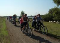 Echt fietsen in de natuur tussen de schapen